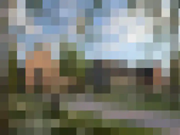 Blauw Campen 29 Sint Anthonis thumbnail 7