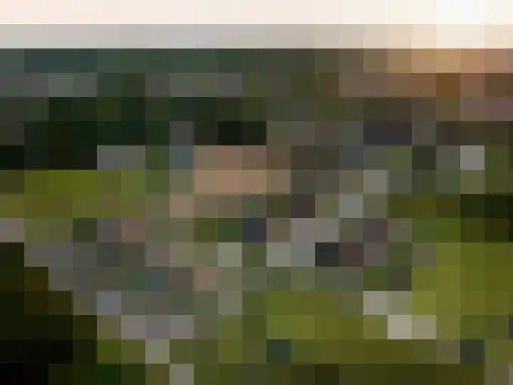 Blauw Campen 40 Sint Anthonis thumbnail 6