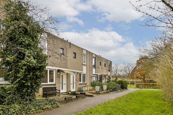 Blauwe Druifjesstraat 4 in Almere foto