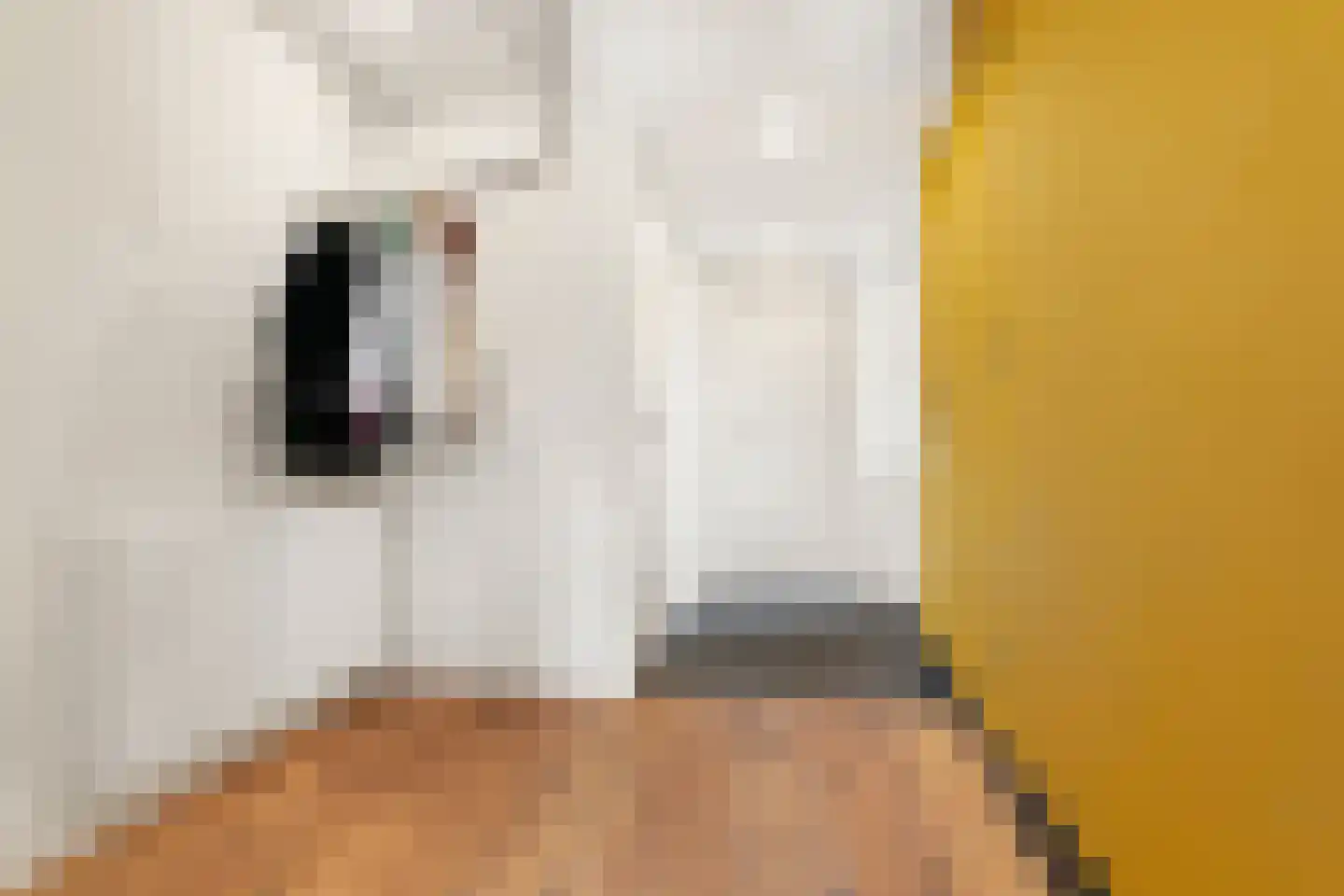 Blauwe Hof 7008 Wijchen thumbnail 23