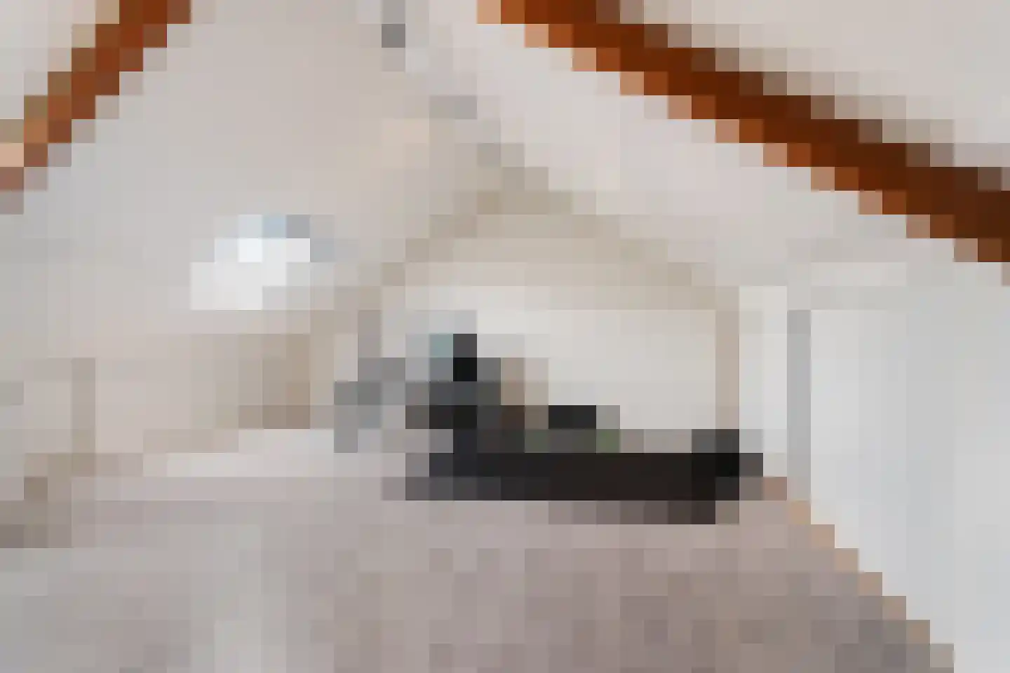 Blauwe Hof 7008 Wijchen thumbnail 30
