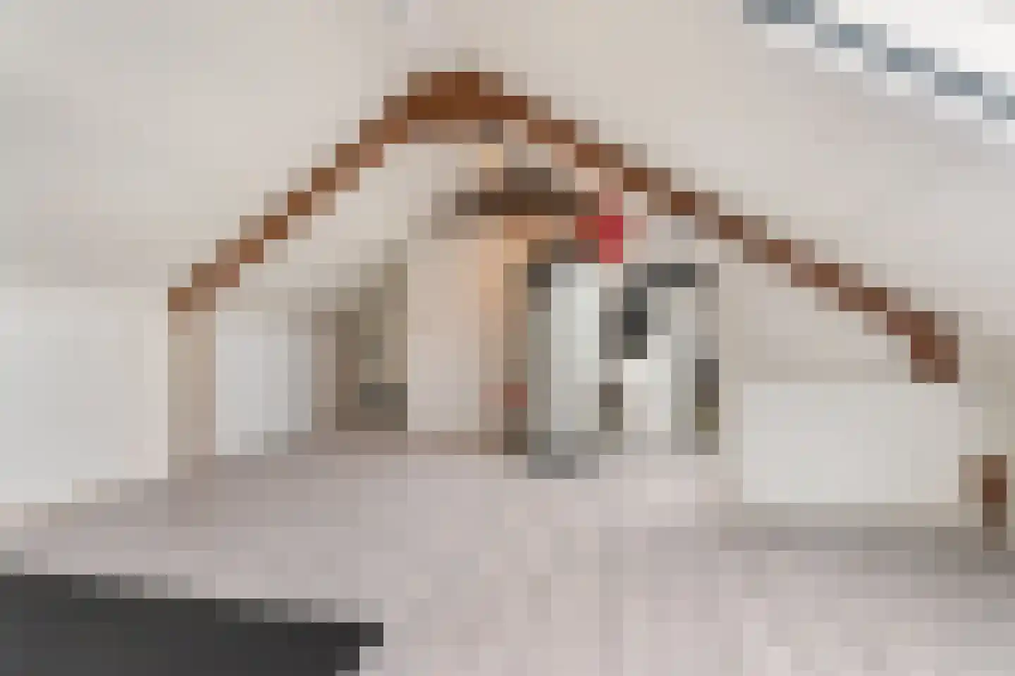 Blauwe Hof 7008 Wijchen thumbnail 31