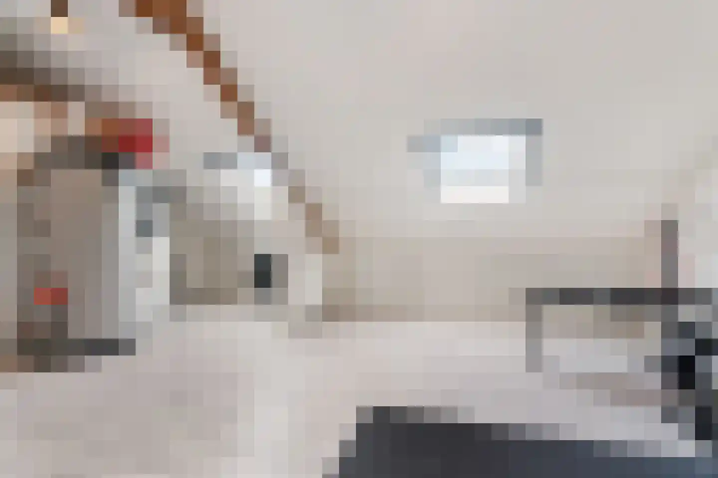 Blauwe Hof 7008 Wijchen thumbnail 32