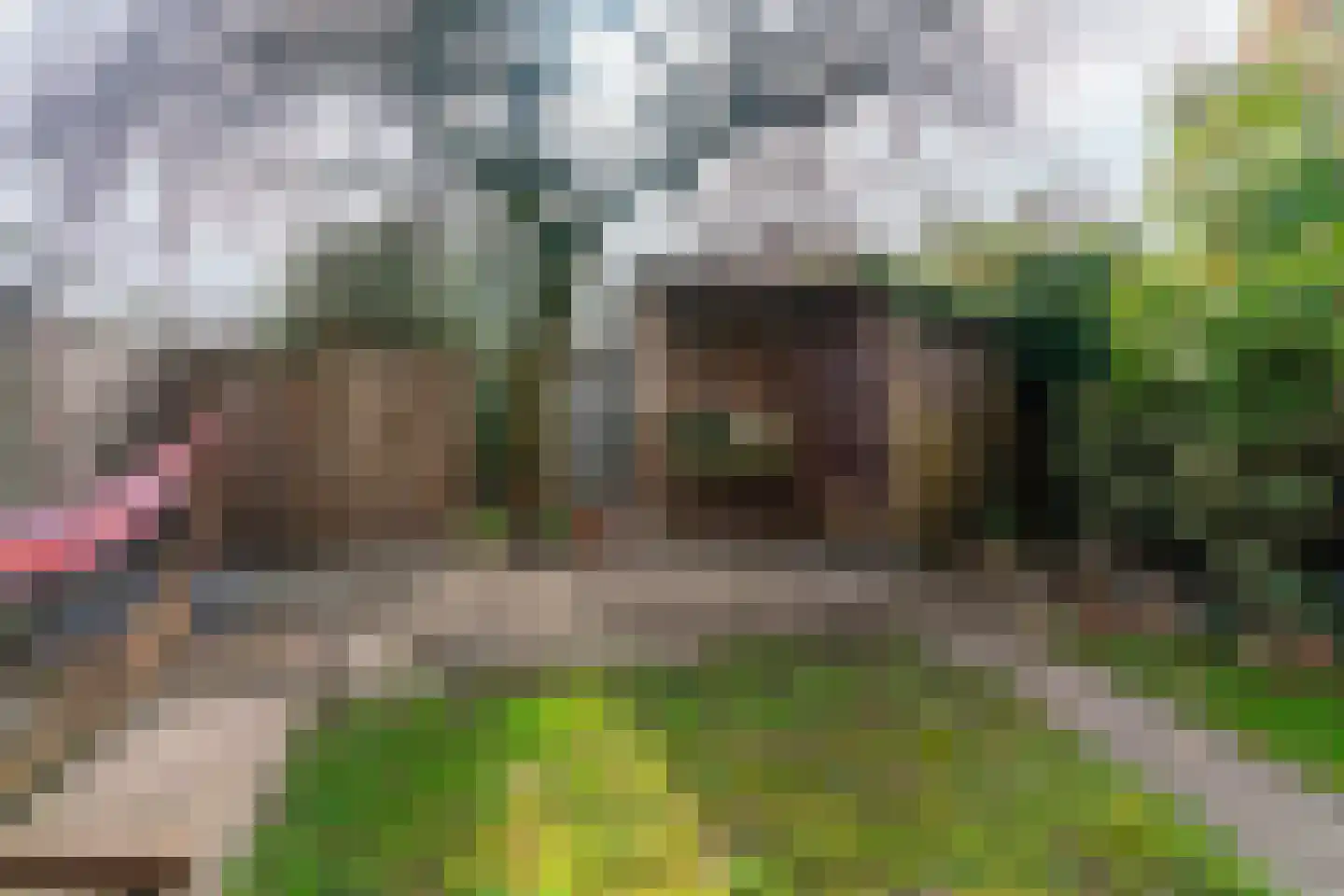 Blauwe Hof 7008 Wijchen thumbnail 53