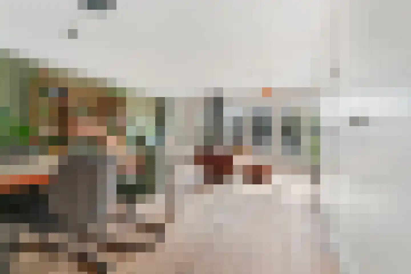 Blauwe Hof 7008 Wijchen thumbnail 6