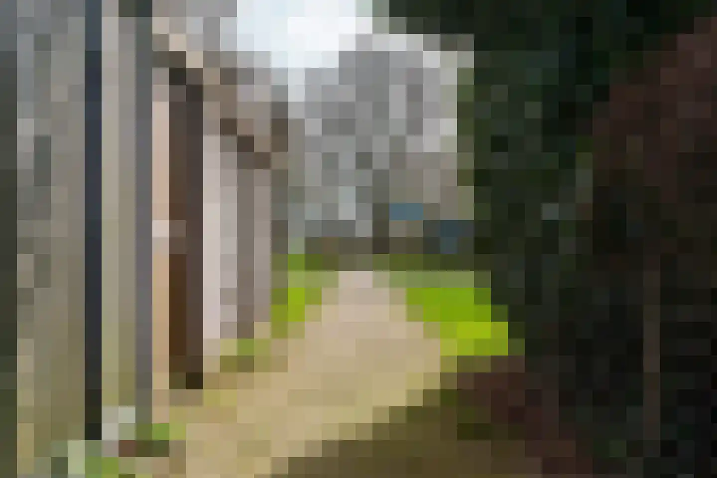 Blauwe Hof 7008 Wijchen thumbnail 62