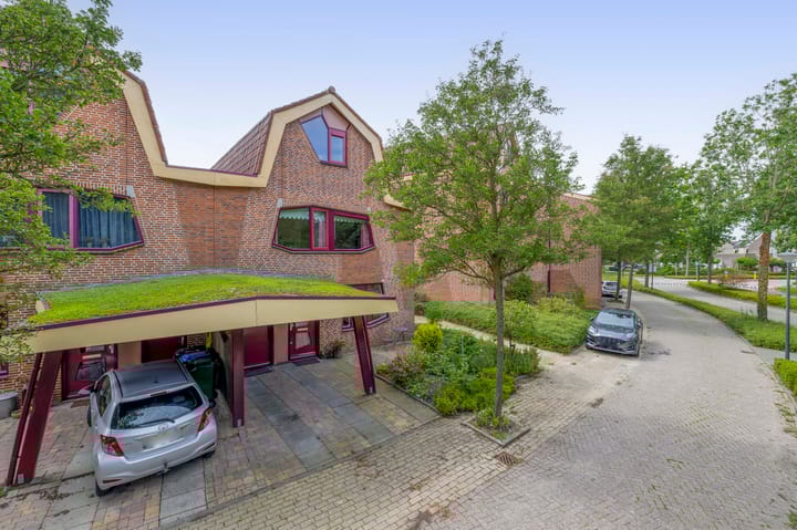 Blauwe Reiger 10 in Hardinxveld-Giessendam foto