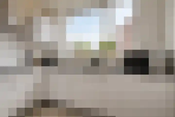 Blauwe Schoe 10 Goes thumbnail 14