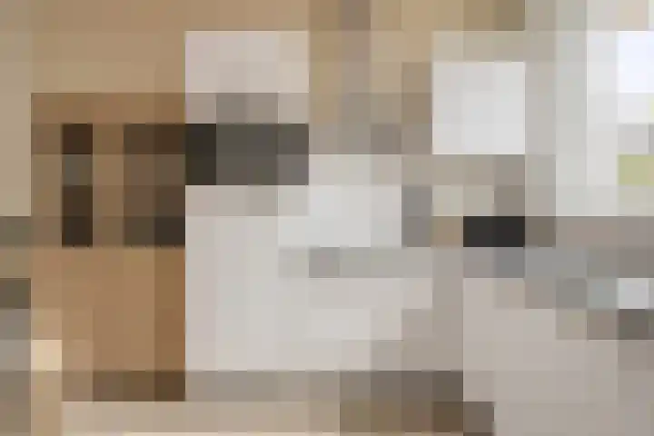 Blauwe Schoe 10 Goes thumbnail 15