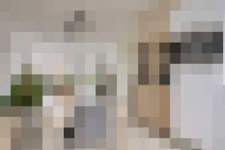 Blauwe Schoe 10 Goes thumbnail 16