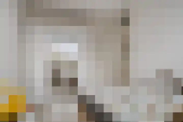 Blauwe Schoe 10 Goes thumbnail 20