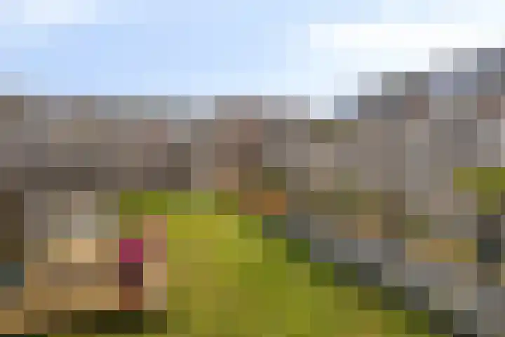 Blauwe Schoe 10 Goes thumbnail 30