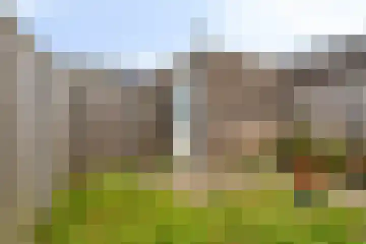 Blauwe Schoe 10 Goes thumbnail 31