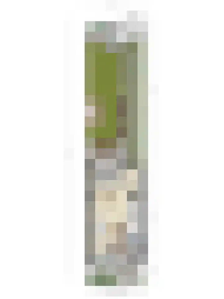 Blauwe Schoe 10 Goes thumbnail 39