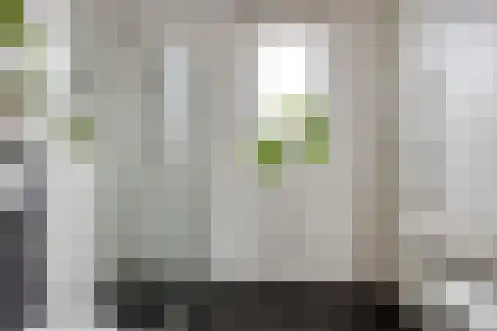 Blauwe Schoe 10 Goes thumbnail 4