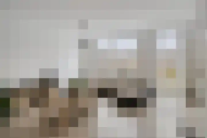 Blauwe Schoe 10 Goes thumbnail 9