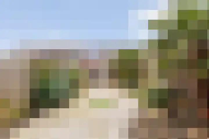 Blauwe Schoe 6 Goes thumbnail 26