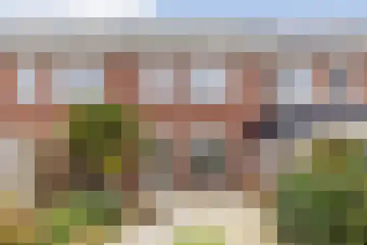 Blauwe Schoe 6 Goes thumbnail 28