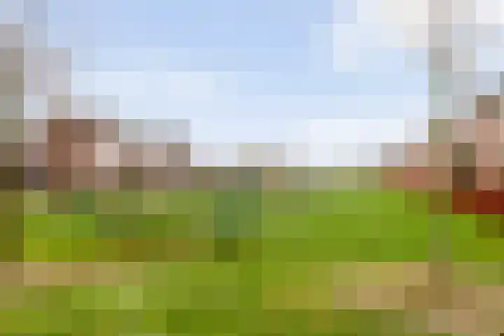 Blauwe Schoe 6 Goes thumbnail 32