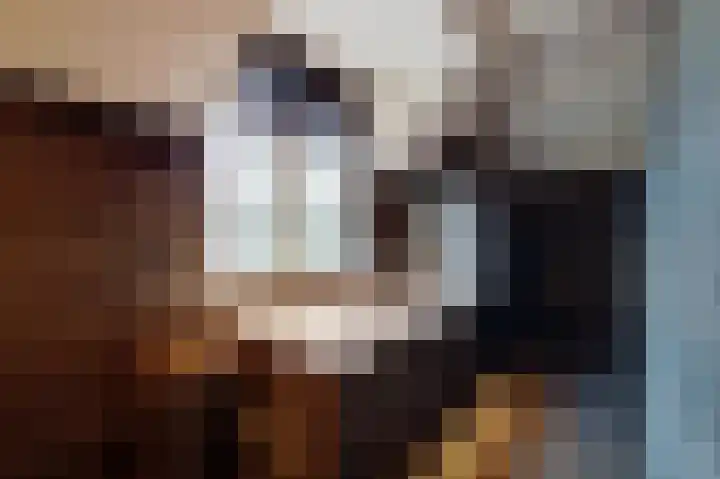 Blauwe Sluis 6 a Appeltern thumbnail 45