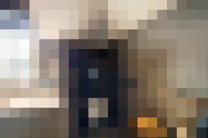Blauwe Sluis 6 a Appeltern thumbnail 49