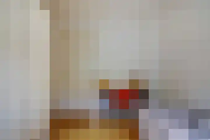 Blauwe Sluis 6 a Appeltern thumbnail 53