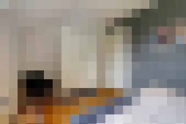 Blauwe Sluis 6 a Appeltern thumbnail 55