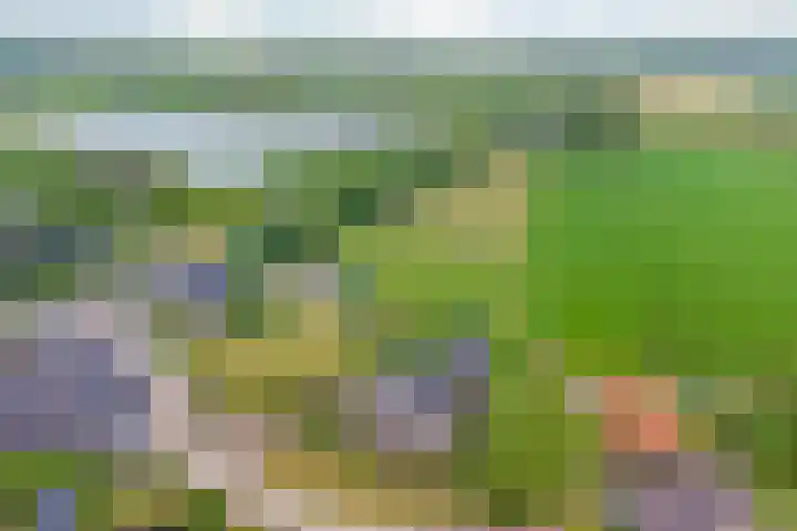 Blauwe Sluis 6 a Appeltern thumbnail 68