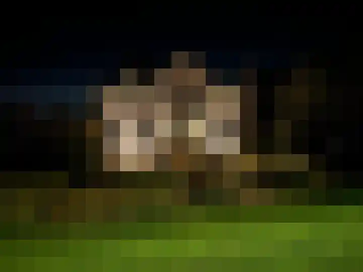 Blauwe Sluis 6 a Appeltern thumbnail 72
