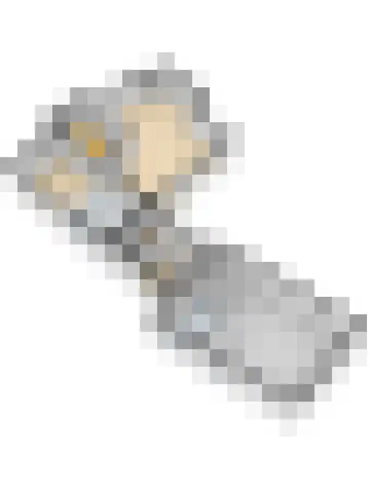 Blauwe Sluis 6 a Appeltern thumbnail 76