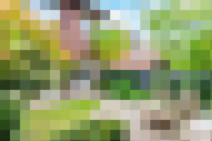 Blauwkapelseweg 46 De Bilt thumbnail 38
