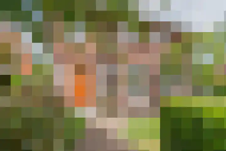 Blauwkapelseweg 46 De Bilt thumbnail 4