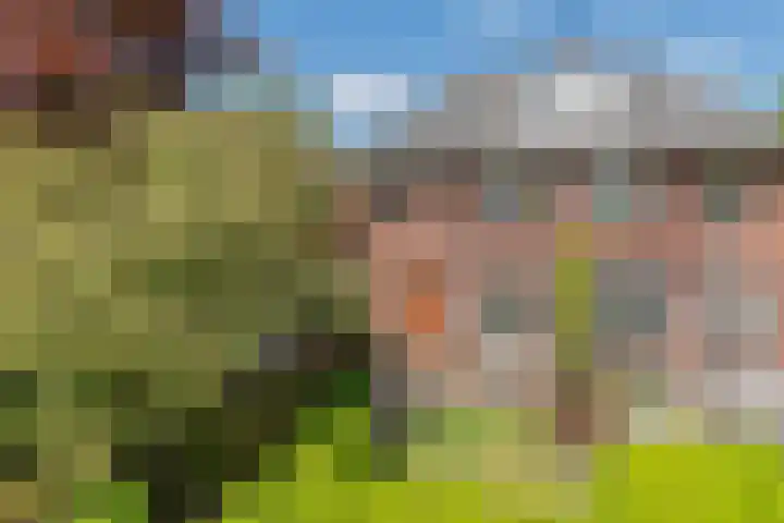 Blauwkapelseweg 46 De Bilt thumbnail 55