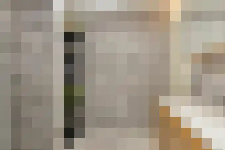 Blauwtjes 45 Breda thumbnail 11
