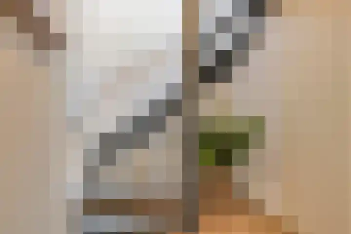 Blauwtjes 45 Breda thumbnail 13