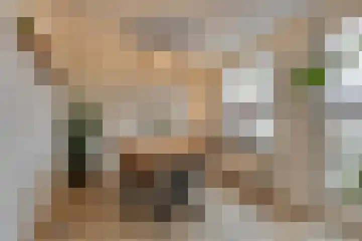 Blauwtjes 45 Breda thumbnail 17