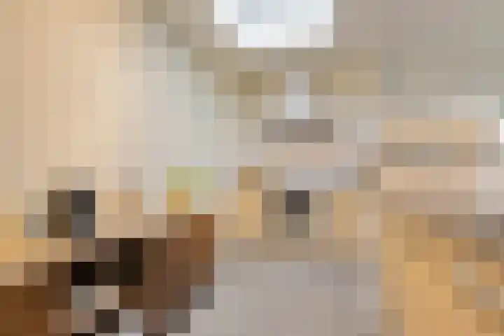 Blauwtjes 45 Breda thumbnail 22