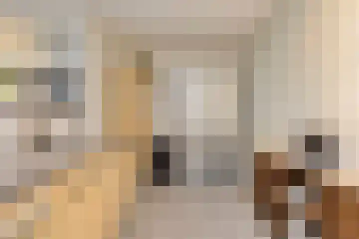 Blauwtjes 45 Breda thumbnail 23