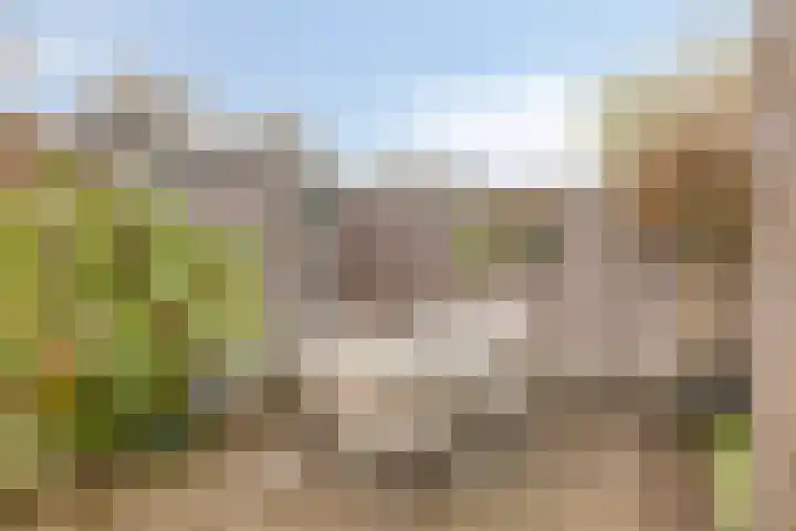 Blauwtjes 45 Breda thumbnail 26
