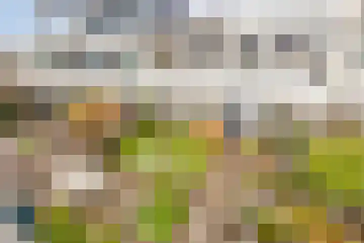 Blauwtjes 45 Breda thumbnail 27