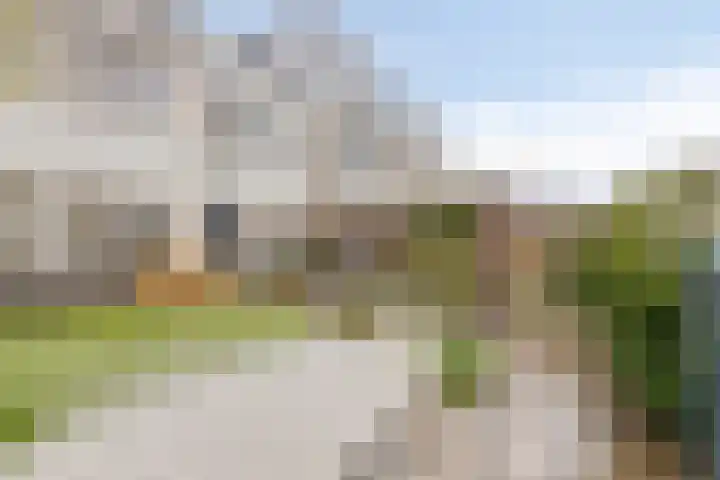 Blauwtjes 45 Breda thumbnail 28