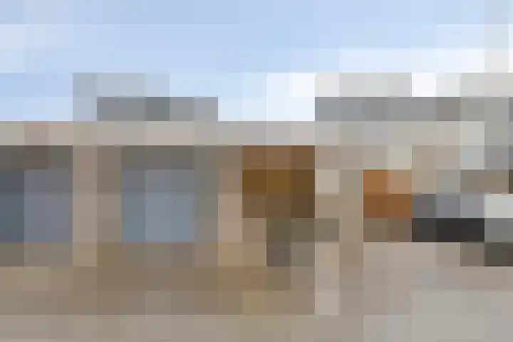 Blauwtjes 45 Breda thumbnail 29