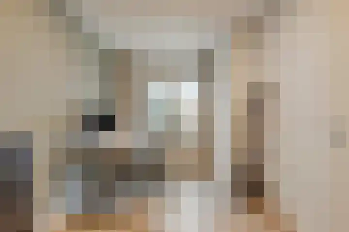 Blauwtjes 45 Breda thumbnail 7