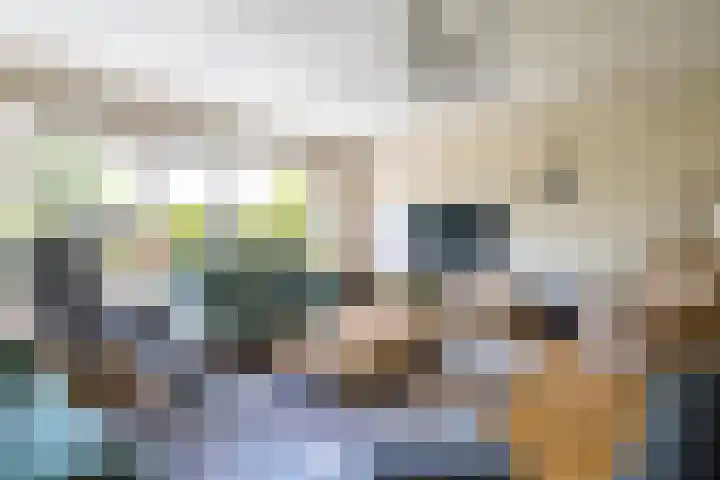 Blauwtjes 7 Breda thumbnail 20