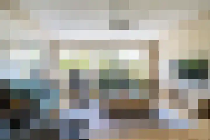 Blauwtjes 7 Breda thumbnail 23