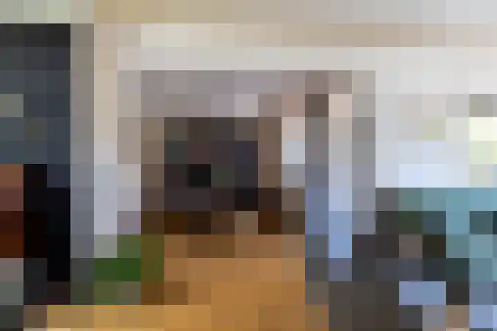 Blauwtjes 7 Breda thumbnail 24