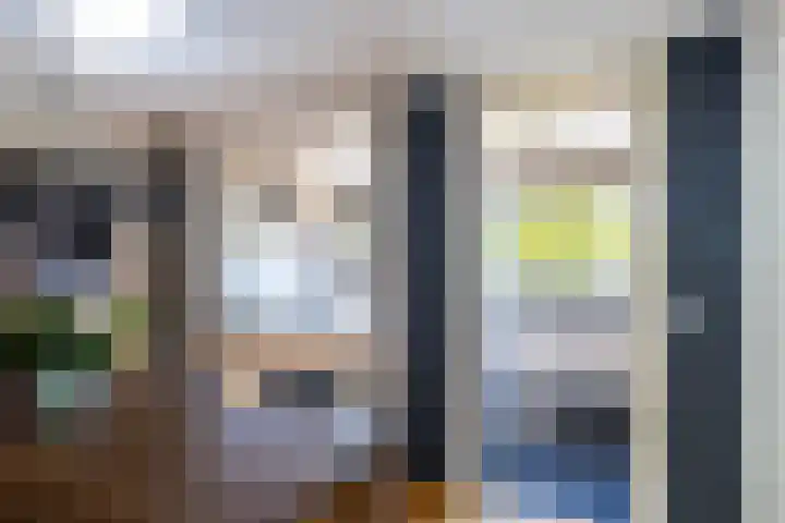 Blauwtjes 7 Breda thumbnail 25