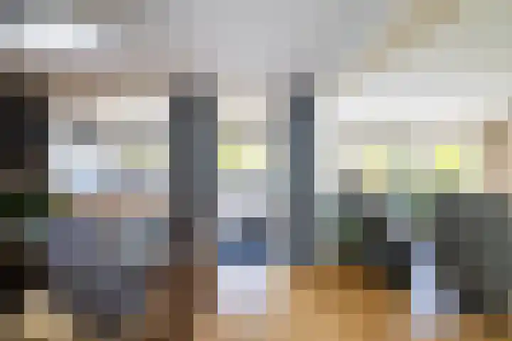 Blauwtjes 7 Breda thumbnail 26