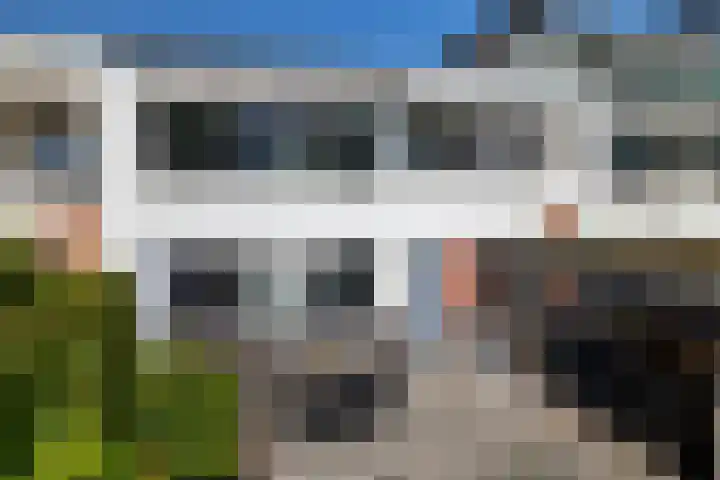 Blauwtjes 7 Breda thumbnail 31