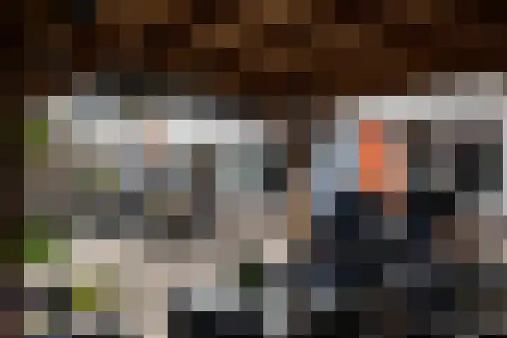 Blauwtjes 7 Breda thumbnail 32